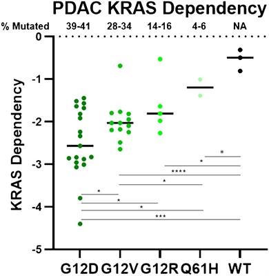 Evaluation of KRAS inhibitor-directed therapies for pancreatic cancer treatment